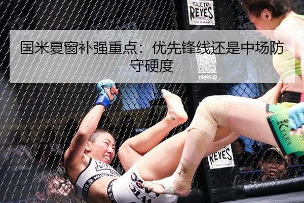 国米夏窗补强重点：优先锋线还是中场防守硬度